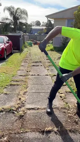 380 Months Of Crack Grass Disappears in 30 seconds. #Freemowfridays #timthelawnmowerman #satisfying 