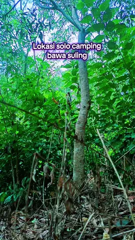 #suling #camping #fyp #solocamping 