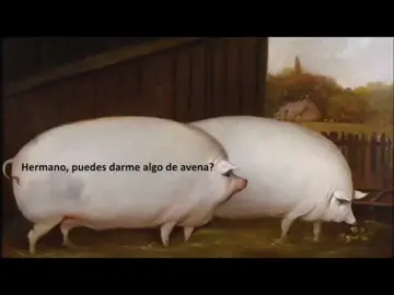 hermano puedo tener avena?#doblaje #hermano #cerdos #foryou #avena 