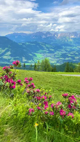 📍🇦🇹 #النمسا🇦🇹 #بادهوفغاسين #وادي_غاشتاين_النمسا🇦🇹 #تيرول🇦🇹  #بادهوفغاسين #كابرون_زيلامسي #سياحة #سالزبورغ #تيرول🇦🇹  #سويسرا #ايطاليا🇮🇹 #المانيا #سعودية #الامارات #قطر #كويت 