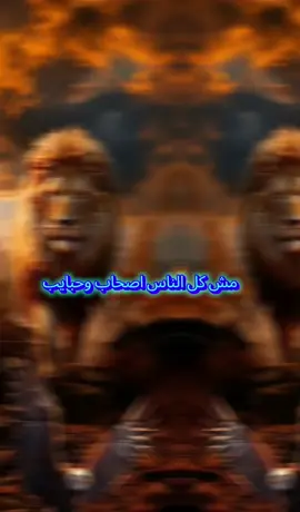 رائدعادل لاسيوطي #رائد #رائد_سليم #اكسبلور #اكسبلورexplore #greenscreenvideo 