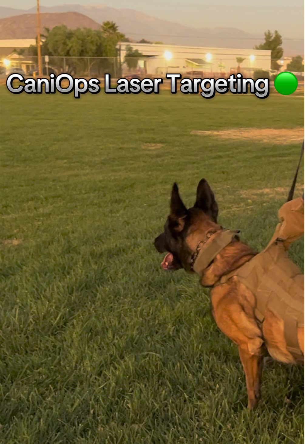 CaniOps Laser Targeting 🟢 Course with a Californian unit 🔥🔥🇺🇸 Come discover our protocol!  #k9 #DogTraining #lasertargeting #mwd #policedog 
