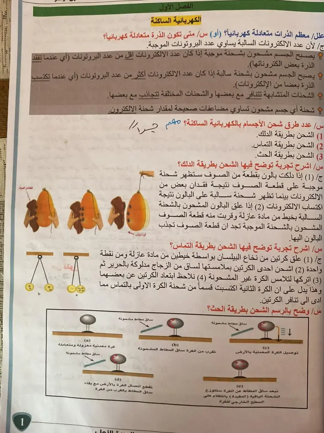 #fyp #العراق_بغداد #ثالثيون #مرشحات_ثالث_متوسط 