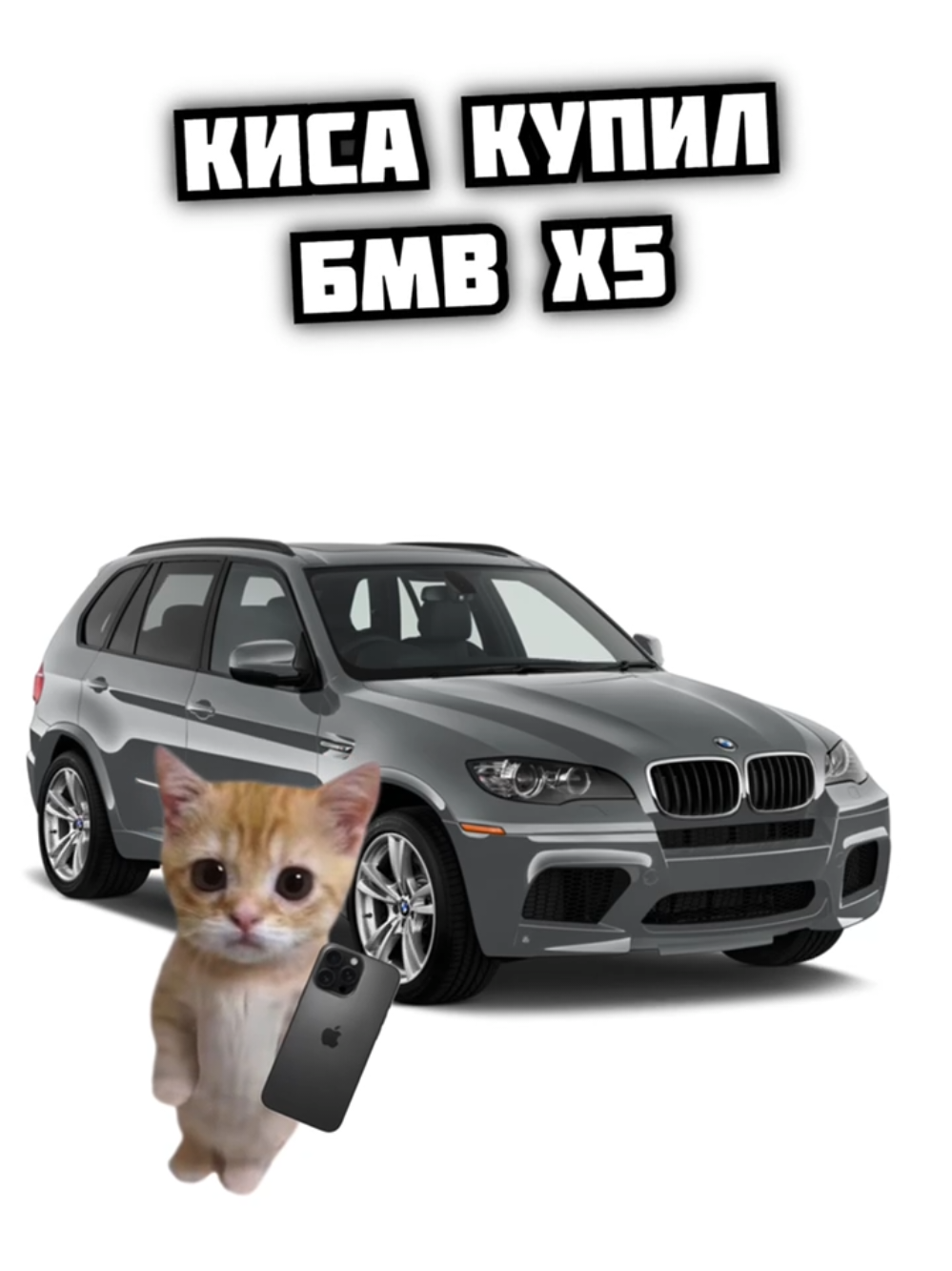 Киса купил БМВ X5. КИСЫ ПОЯСНЯЮТ. #рекомендации #бмв 