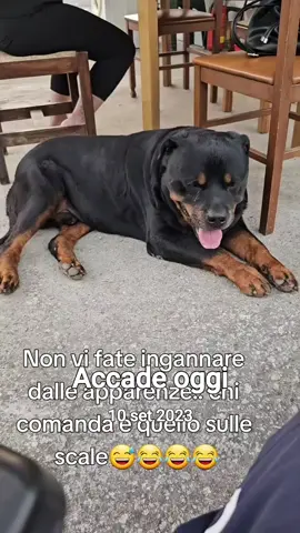 #accadeoggi