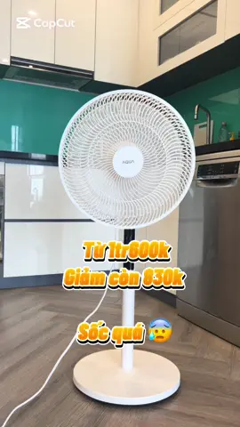 Quạt cây Aqua 830k sốc thực sự 🙉#quataqua #aqua #quatcay 