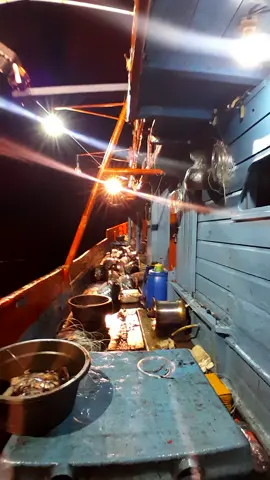 taruhan 65 ekor dalam semalam #salamsatujangkar⚓⚓⚓ #golakan#cilacap