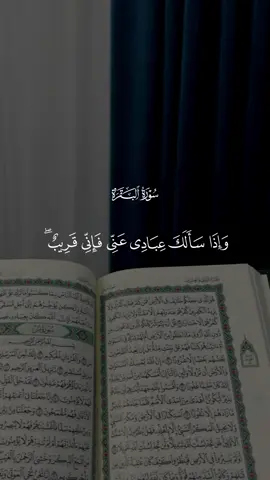 تلاوة خاشعة من سورة البقرة 🤍 #قران #مشاري_العفاسي #quran