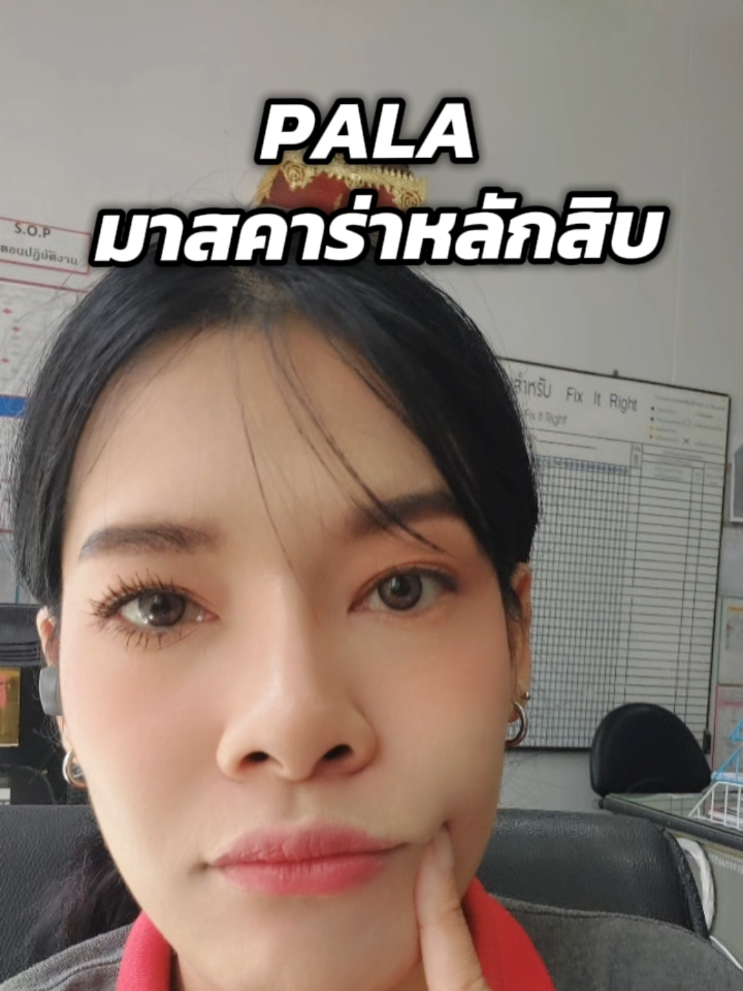 ขายไม่เอากำไรเลยคุณพรี๊ #PALA #ที่ปัดขนตา #มาสคาร่า #มาสคาร่ากันน้ํา 