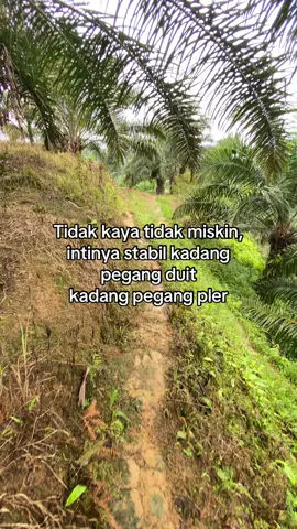 🤦‍♂️#sawitontiktok #masukberanda #petanisawit🌴 #lewatberandafyp #foryou #fyp #petaniindonesia🇮🇩🇮🇩🇮🇩🌿🌿 #fyppppppppppppppppppppppp 