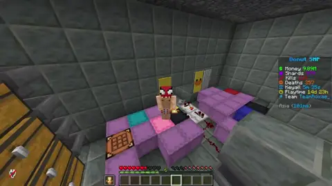 #100days #moneymakingmethodes #Minecraft #donutsmp 