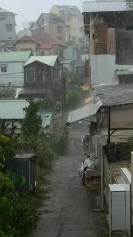 Đà Lạt những ngày đầu thu #dalat #reviewdalat #mua #isbtalents #sad