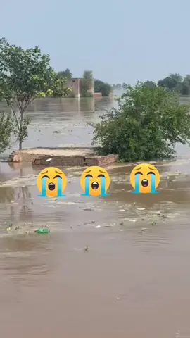 #🙏🙏🙏🙏🙏🙏 