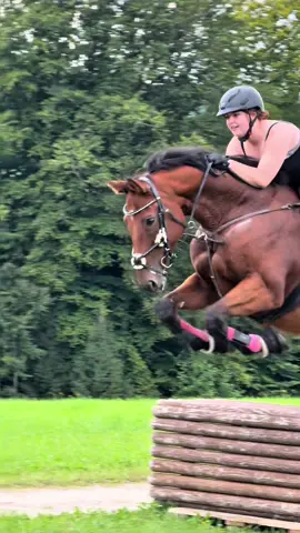 So ein geiles pferd😍@. #horseriding #gelände #myhorse 