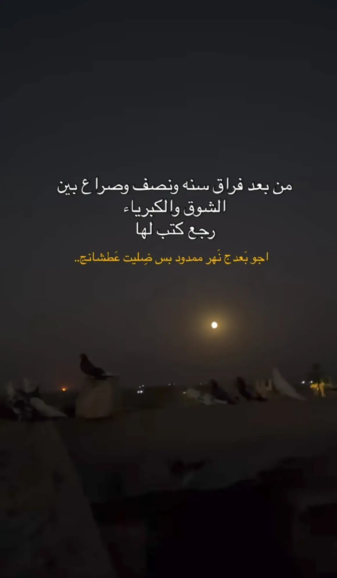 #💔😔ماكدرت انساهه واعشك من جديد روحي بيهه وماكو اليشبهونها كلبي حبهه وجنت رايدهه بحلال ونيتي جانت ابيض من سنونها جنت عابر بالعشك فوكَالحدود حته اهلهه بكدي ميحبونها ودعتني وما شفت بسماهه غيض نطيتهه عيوني ونطتني متونها توقعت من نفترك دمعتهه تسيل ابالي اشوفلهه نهر بجفونهه تالي بشموس الجفا ولاظل لكيت ودمعتي الماطالعه يشوفنها اني ماندمان بس عالطيبه ذيج شوفتهه لناس ما يسوونها جنت اضن الروح يكسرهه الغريب بس لكيت الاقرب يكسرونها