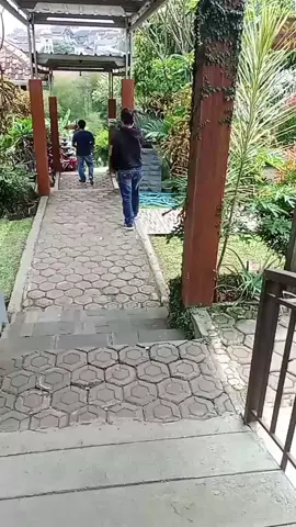 Mapay jalan setapak ngajugjug ka hiji lembur teu Aya kacape barijeung kapahung,teu burung nepi... #lagusunda #mawarbodas #trendingsound #fyp 