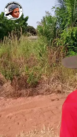 🤣🤣😂😂🤣😂#eweland🇧🇯🇬🇭🇹🇬 #ewe #ewetiktokers🇹🇬🇧🇯🇬🇭 