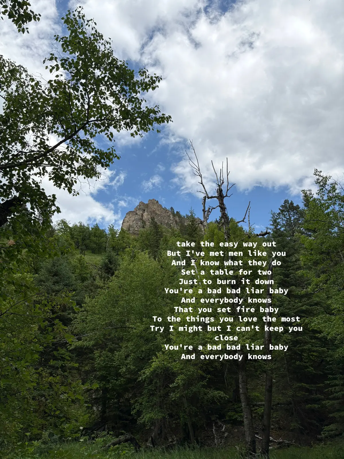 #narctok #gaslightingsigns #lieslieslies #manipulator 