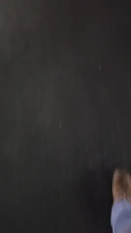 #fyp #cowtruckin  #leftlanegang  #salebarnshuffle 