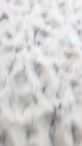 Anh cố để chi vậy? 