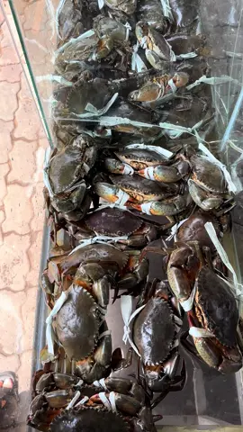 Khu vực SG ship trong 30’ #cuacamau #xh #xuhuong #xuhuongtiktok #hochiminh 