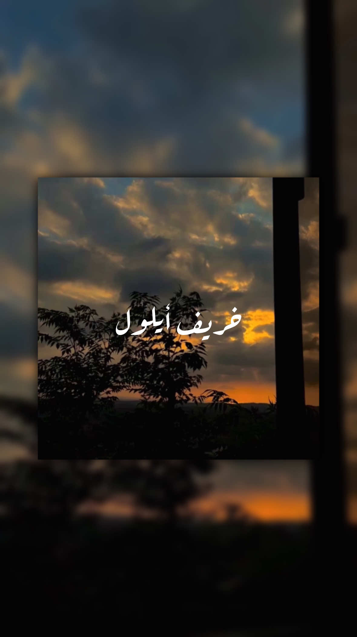 خريف أيلول 🍂🧡. . . . #ماريلين_نعمان #حالات_واتس #ستوريات #fyp #خريف #الخريف #أيلول #ايلول #سورية #اكسبلور #اكسبلور #explore #لبنان #syria #lebanon #dubai 
