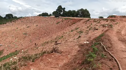 မြေစာသတုရေပိုက်ပေါက်နေပါတယ်ဗျာ 😊😊မြင်ဖူးအောင်အလှတရား@老三。🥴 