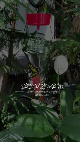 #CapCut #قران_كريم #تصويري #صلوا_على_رسول_الله #استغفروا 