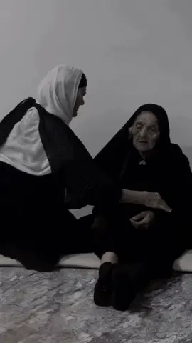 #creatorsearchinsights #creatorsearchinsights #fybシviral #fybシviral_video_tiktok #hawler_slemani_dhok_karkuk_hallabja 