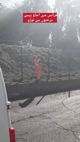 🇫🇷 #France #My mini Vlogs#goviral #france🇫🇷 #creatorsearchinsights 