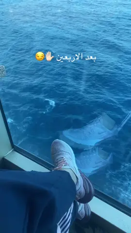 #mirna☘️ #بعدالاربعين #following #australiatiktok #cruise 