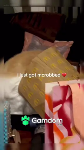 #trending #viral #fypシ #animals #catsoftiktok 