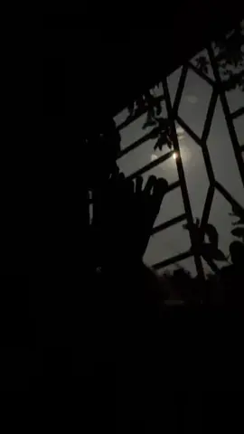 hmm #tiktokviral #foryou #foryoupage #viral #tiktokindia 