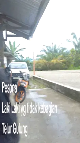 #sawitbalap #trend #sorotan #pengikut #driversawit 