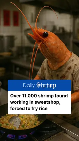 The rumors are true - a shrimp really did fry your rice. Early this morning, a massive sweatshop bust uncovered over 11,000 shrimp being forced to fry rice against their will. If you’ve eaten or ordered “shrimp-fried rice” within the last 4 years, it’s more than likely that meal was prepared by one of these poor, helpless shrimps. #shrimpnews #shrimptok #viral #humor #fyp 