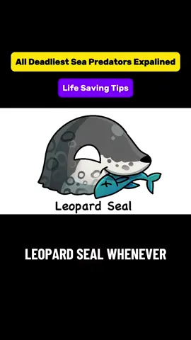 How Leopard Seal Hunts The Fierce Predator of Antarctica