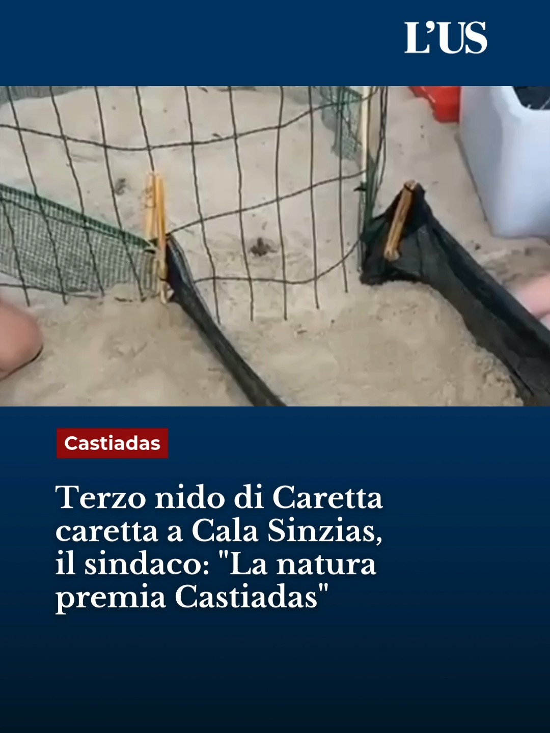 Terzo nido di Caretta caretta a Cala Sinzias, il sindaco Eugenio Murgioni esulta: 