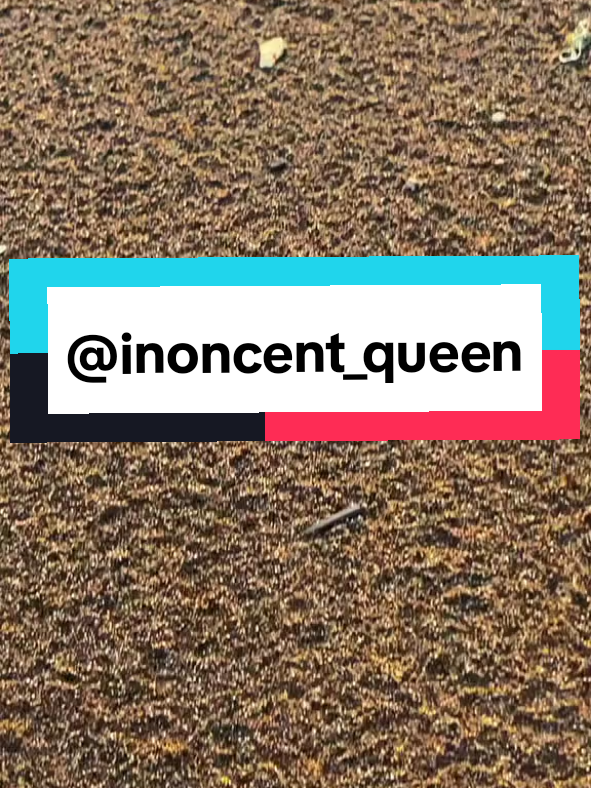 @Innocent Queen 🙏🙏🙏 #assalamualaikum🙏 #padahariini #aleenaqueen #trending #4u 