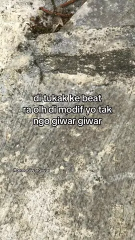 #giwargiwar #jogjacity #fypシ゚ 