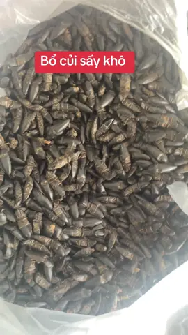 #thaoduoctaybac96 #xuhuongtiktok #xuhuong #bocui 