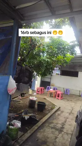 Cukur apa aja bolehh!! #cukur #cukurrambut #alatcukur #viraltiktok 