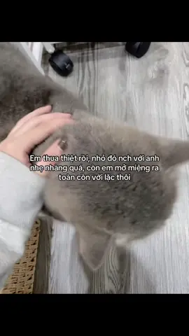 #xhhhhhhh #vairal #fypage 