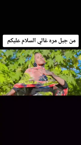 #جبل #مرة #تصميم_فيديوهات🎶🎤🎬 #جخو،الشغل،دا،يا،عالم،➕_❤_📝✌️🌍🦋 #السلطان #وسط_دارفور 