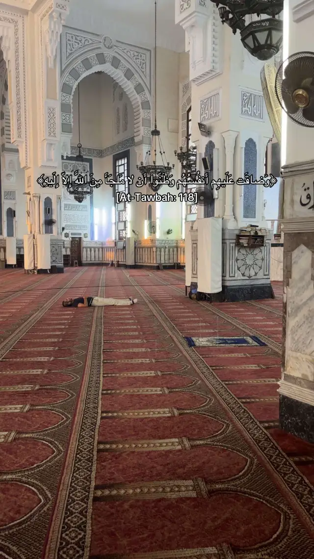 #quran #allah #muslim #المنشاوي 
