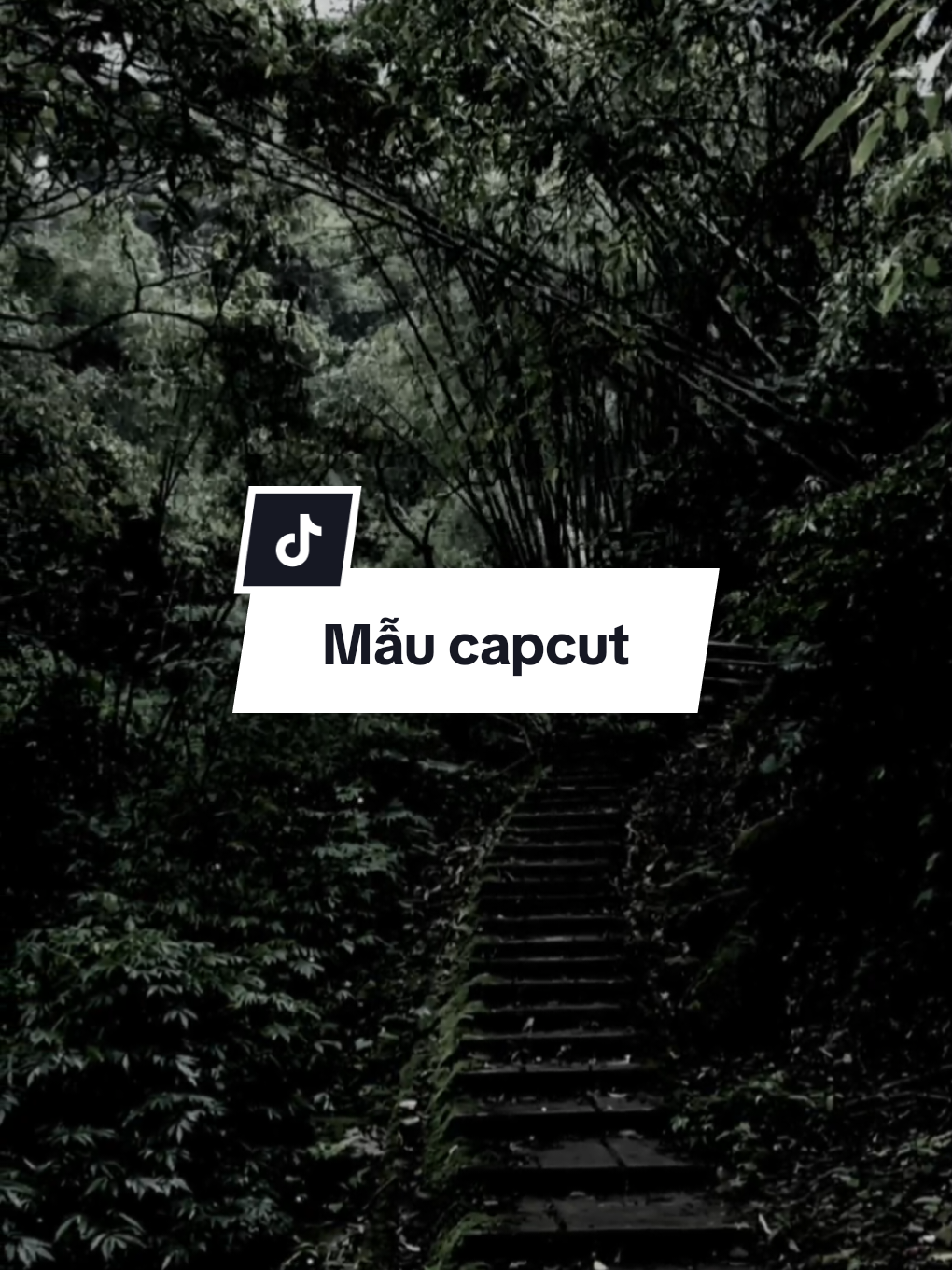 #CapCut Nhạc không lời - Vô tình remix #hidengne #nhachaymoingay #xh #trumview #mauhaymoingay 