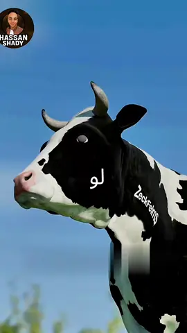 #قصص #معلومات #متابعه_ولايك_واكسبلور_احبكم #متابعه_ولايك_واكسبلور_فضلا_ليس_امر #hassanshady 