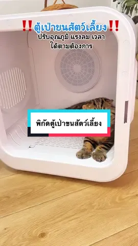 ตู้เป่าขนสัตว์เลี้ยง ปรับอุณหภูมิแรงลมและเวลาได้#ทาสแมว #ทาสหมา #ตู้เป่าขนแมว #ตู้เป่าขนสัตว์เลี้ยง #ตู้อบแมว 