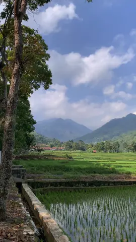 40 mnt doang dari tasik kota (ah, tidak mereun) masa ga cobain ke sana si, mumpung masih ga musim hujan #ciamis #ciamismanis #curugjami #foryoupage #nature 
