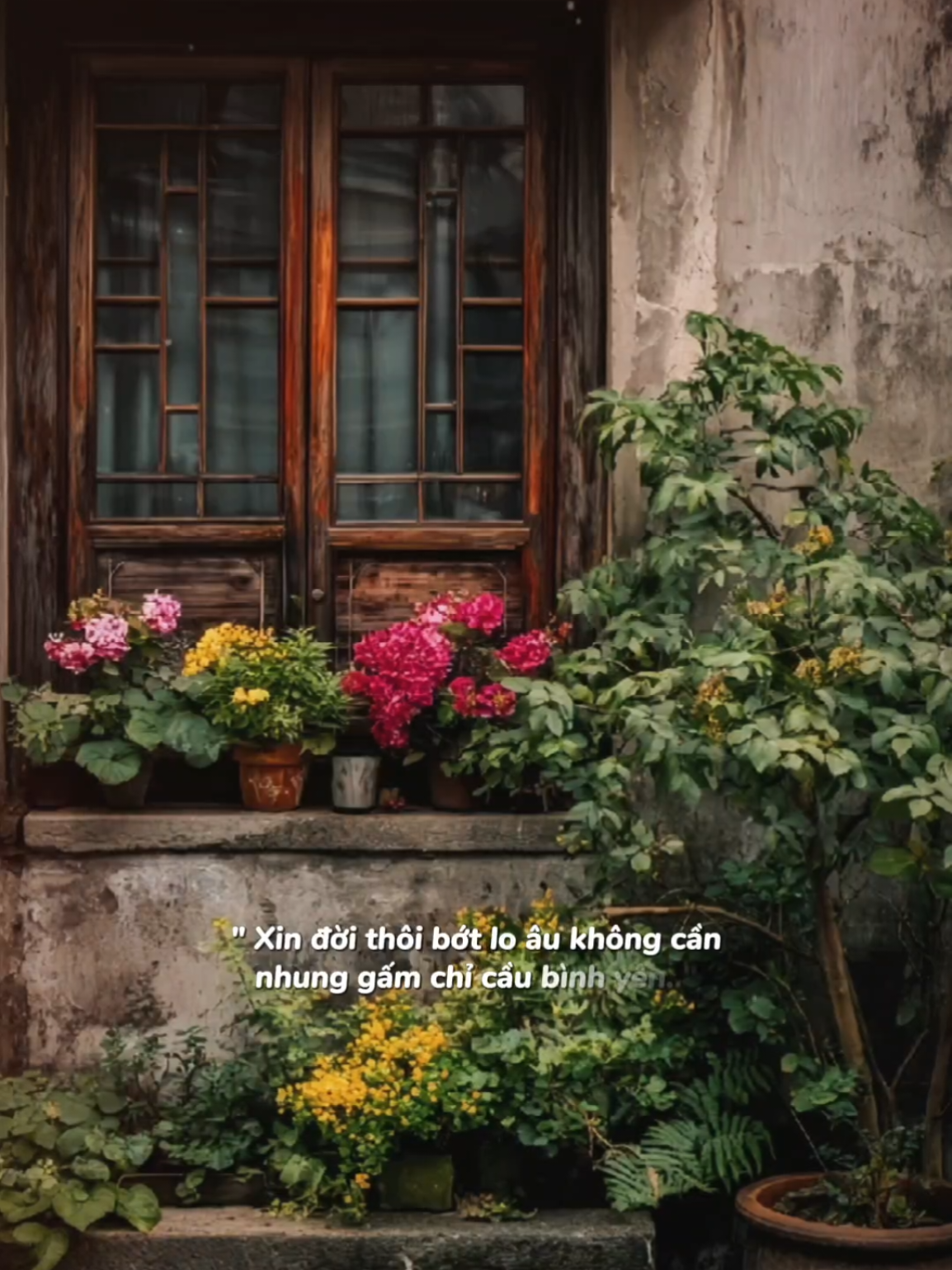 Ta về nhóm lửa pha trà... #nhachaymoingay #podcast 