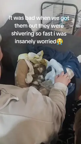 i coudnt believe it they were so wet and cold shivering from side to side it was just unbelievible